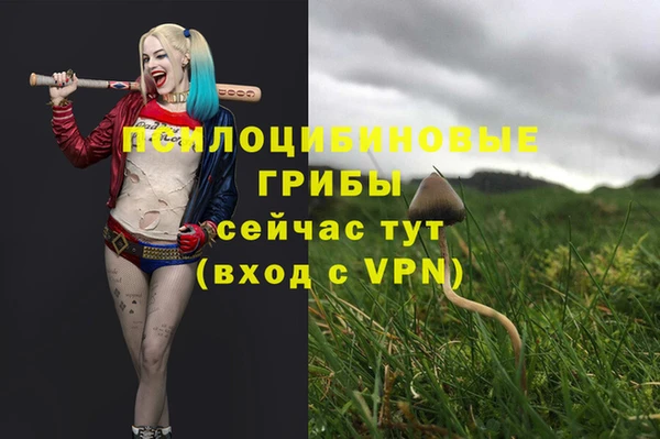 трава Алексин