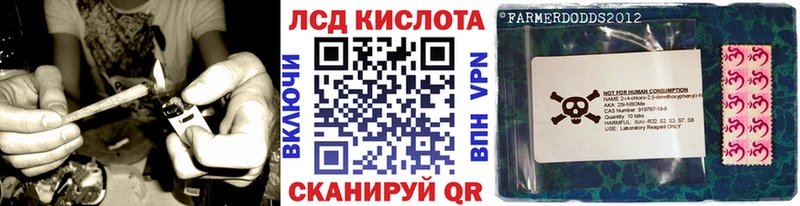 OMG   Междуреченск  Наркотические марки 1,5мг 